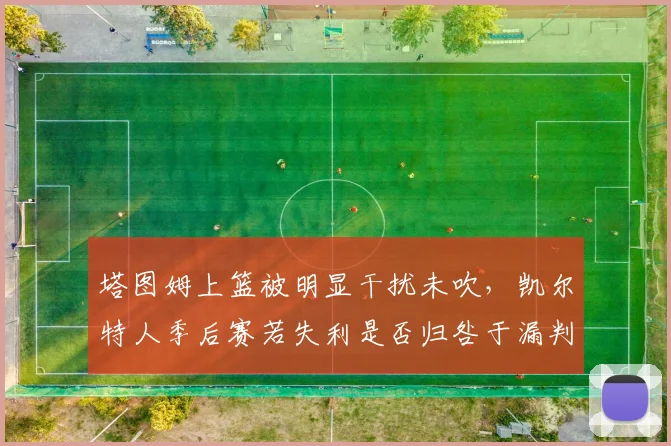 塔图姆上篮被明显干扰未吹，凯尔特人季后赛若失利是否归咎于漏判？